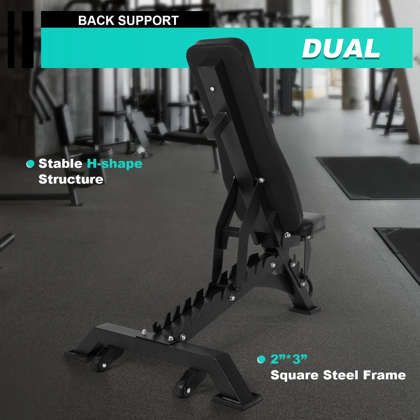 Workout Bench Adjustable Exercise Bench Bench Press Bench for Bench Press and Full-Body Workouts