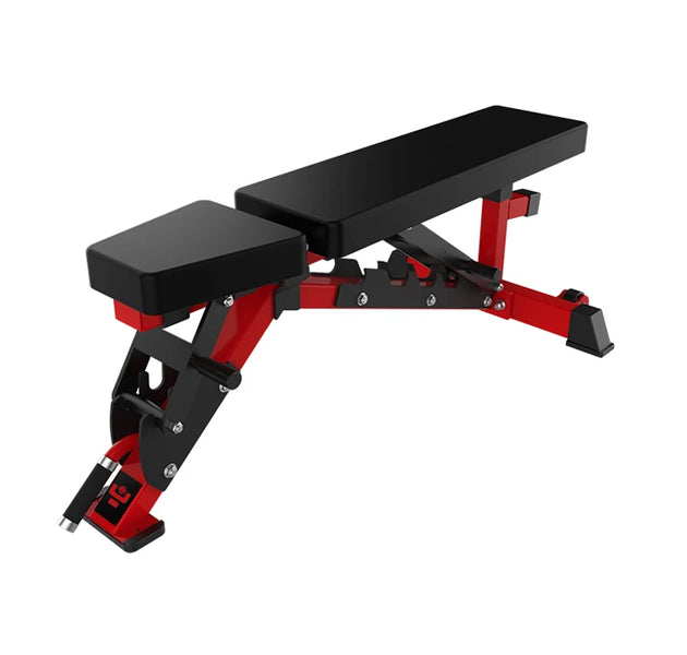 Commercial Stainless Steel Adjustable Weight Dumbbell Bench for Back & Triceps Training-Universal Gym Equipment