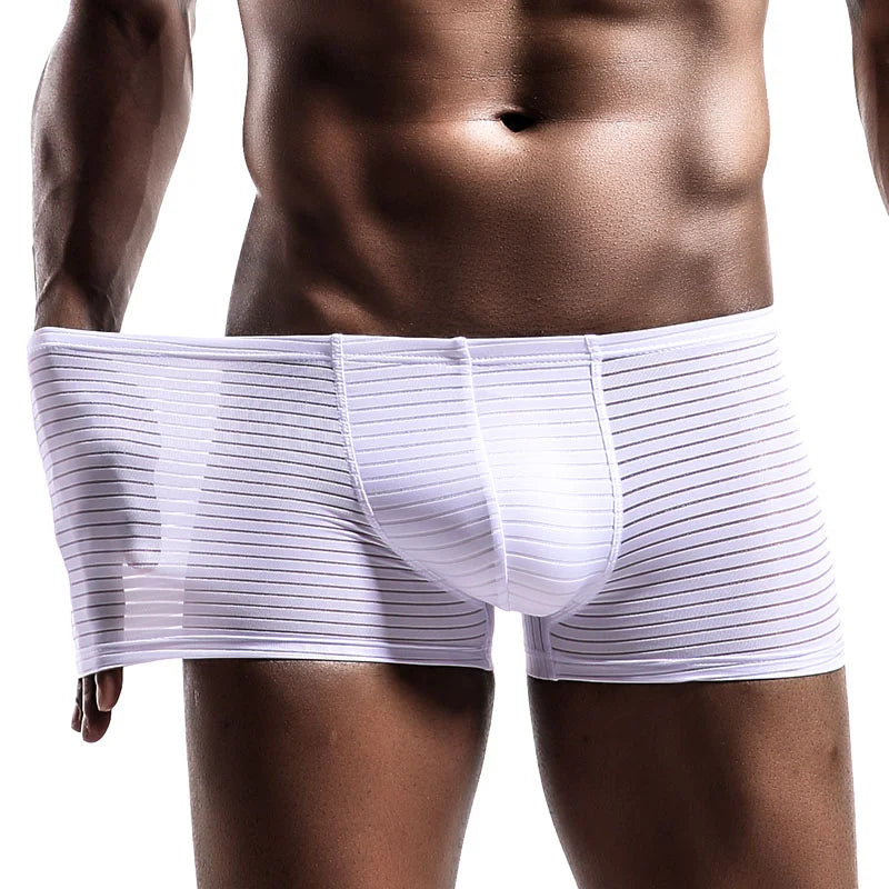 Men's Underwear Shorts L-3XL Breathable Mesh Boxer Lingeries Anti-Chafing Comfy Briefs U Pouch Solid Under Panties Plus sIZE