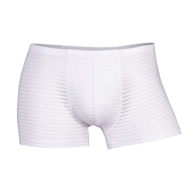 Men's Underwear Shorts L-3XL Breathable Mesh Boxer Lingeries Anti-Chafing Comfy Briefs U Pouch Solid Under Panties Plus sIZE