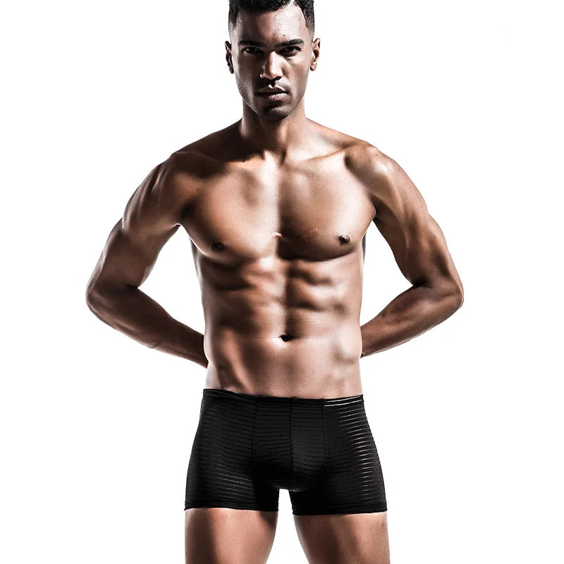 Men's Underwear Shorts L-3XL Breathable Mesh Boxer Lingeries Anti-Chafing Comfy Briefs U Pouch Solid Under Panties Plus sIZE