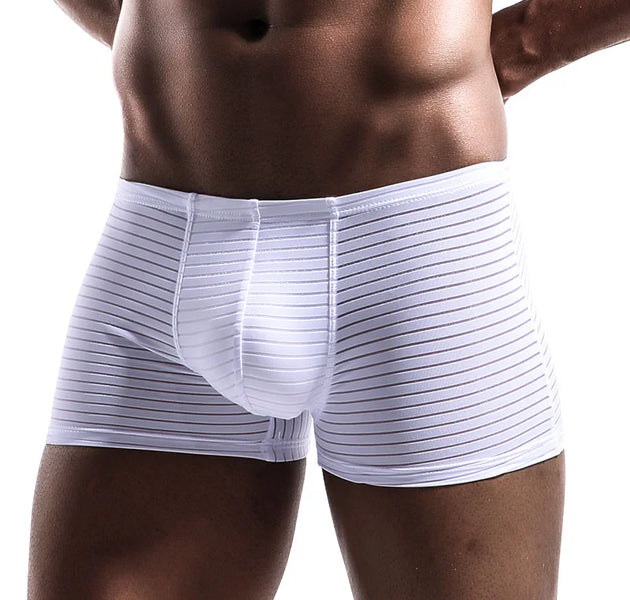 Men's Underwear Shorts L-3XL Breathable Mesh Boxer Lingeries Anti-Chafing Comfy Briefs U Pouch Solid Under Panties Plus sIZE